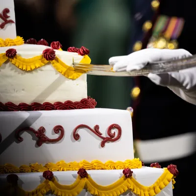 A white-gloved hand cutting a tiered cake with a ceremonial sword